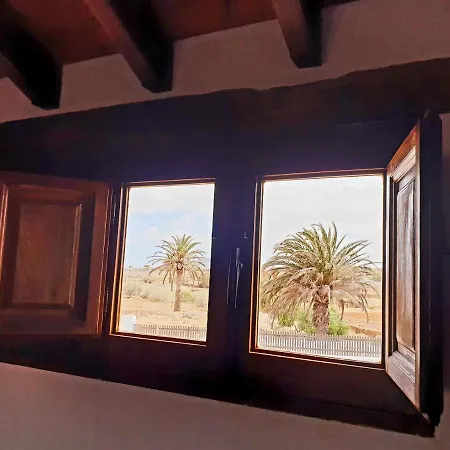 Palmeras Villa Antigua (Fuerteventura)